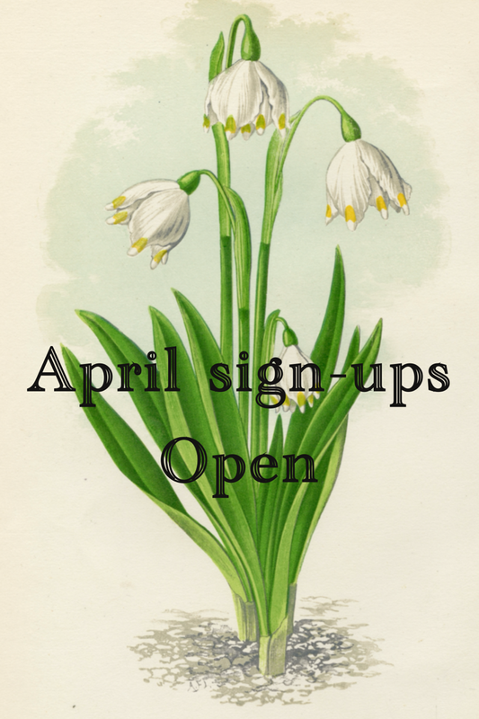 Mail Club (bi-monthly)